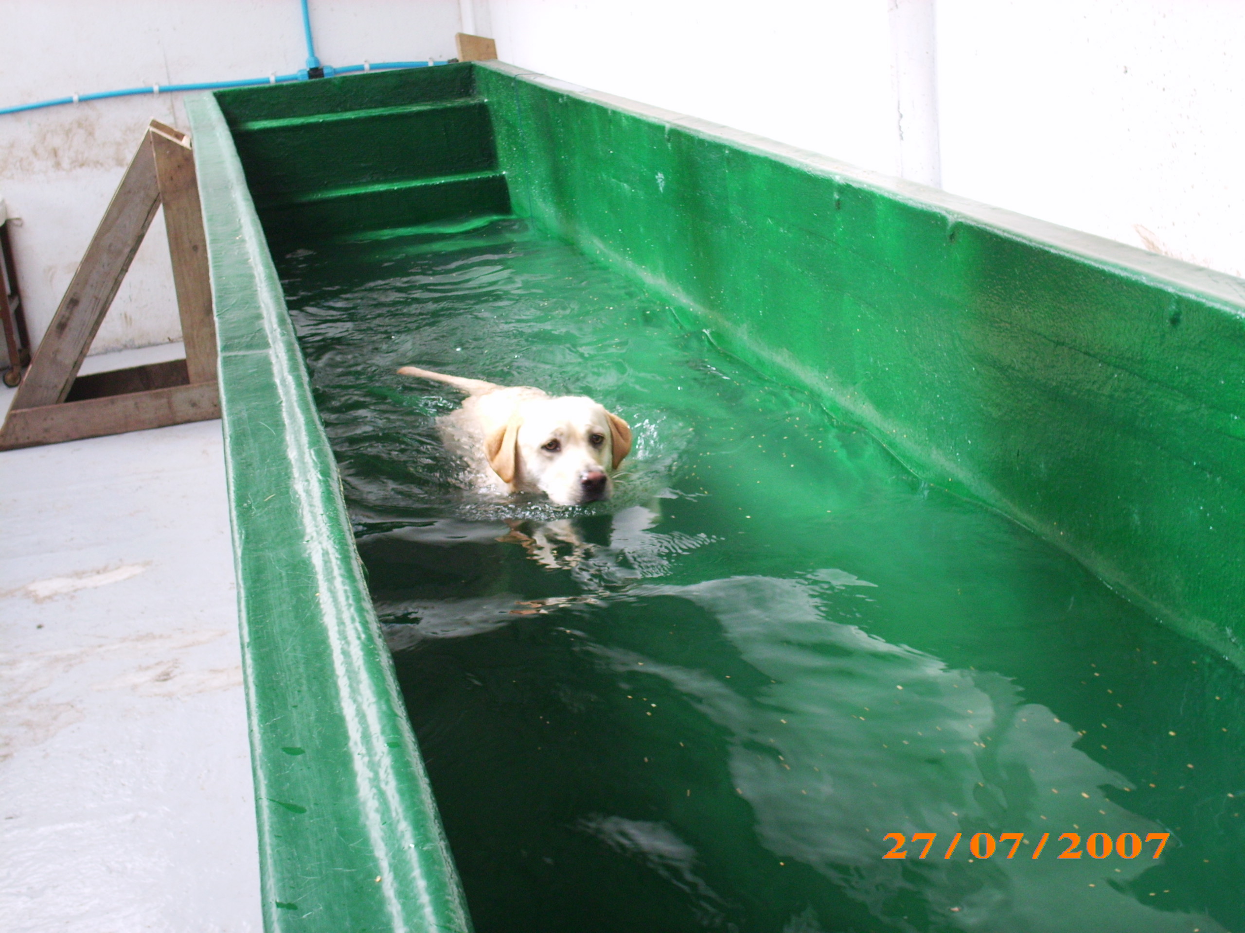 swimway.jpg